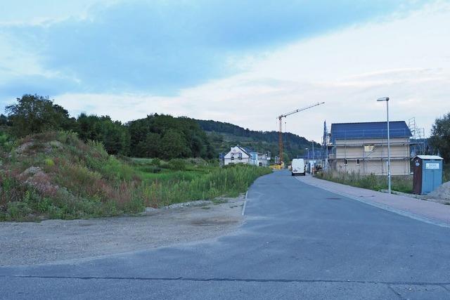 In Malterdingen sind weitere Mehrfamilienhuser mglich