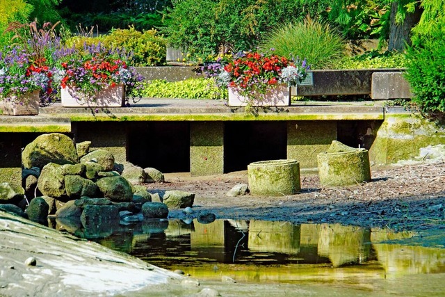 Der Kurparkweiher in Bad Bellingen ist...n &#8211; die Sanierung kann beginnen.  | Foto: Heinz Gttlich