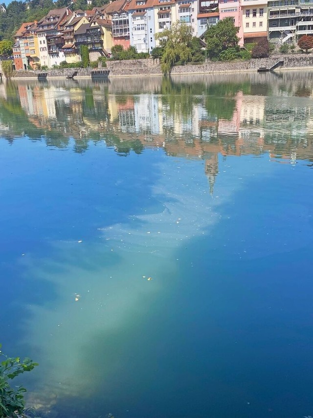 Blaualgen im Rhein  | Foto: Silvia Obrist