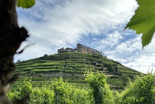 Ein Sommertag in Staufen: Wo das Mittelalter auf argentinischen Tango trifft