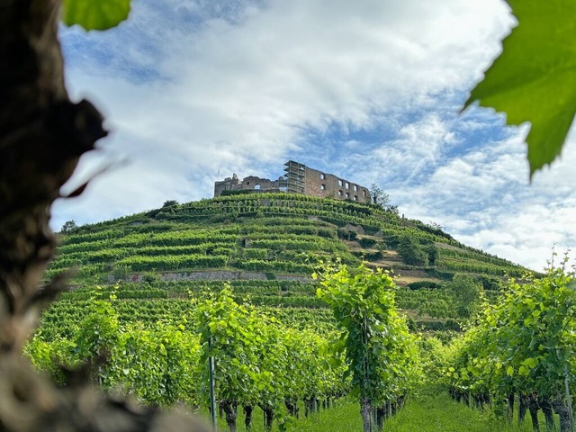 ber der Stadt Staufen thront das Wahrzeichen: die Burgruine  | Foto: Frank Schoch