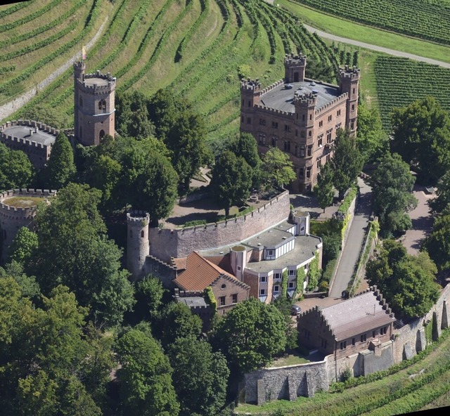 Zeppelin 175 Jahre Sparkasse  Schloss Ortenberg  | Foto: Ralf Burgmaier