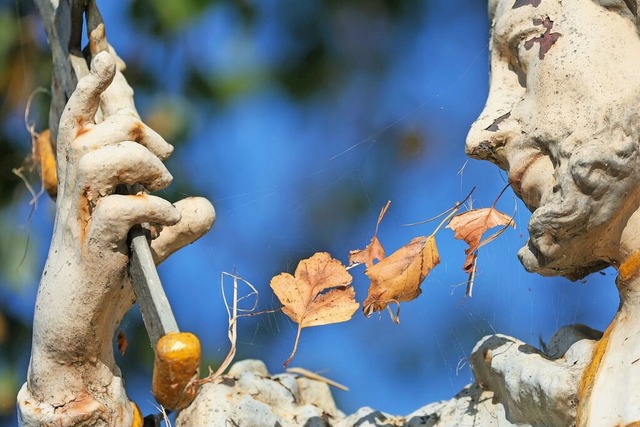 In Baden-Wrttemberg sinken die Temperaturen.  | Foto: Thomas Warnack (dpa)