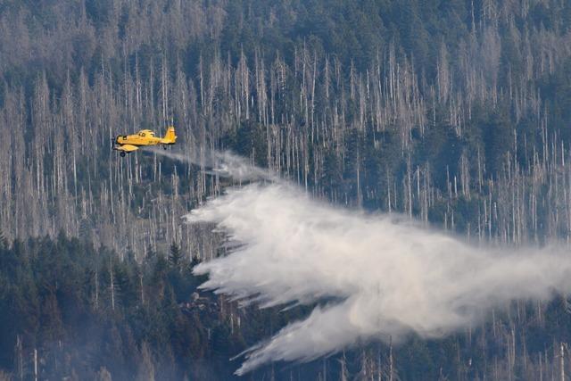 Waldbrand am Brocken: Hoffen auf Regen im Harz