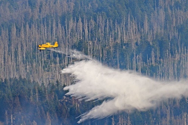 Ein Lschflugzeug ist  am Knigsberg unterhalb vom Brocken im Harz im Einsatz.  | Foto: Swen Pfrtner (dpa)