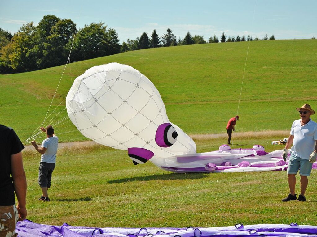 Bunte Drachen und vieles mehr gab es in Htten zu sehen.