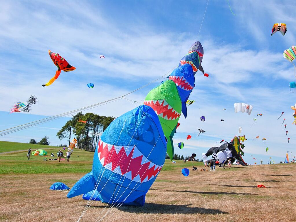 Bunte Drachen und vieles mehr gab es in Htten zu sehen.