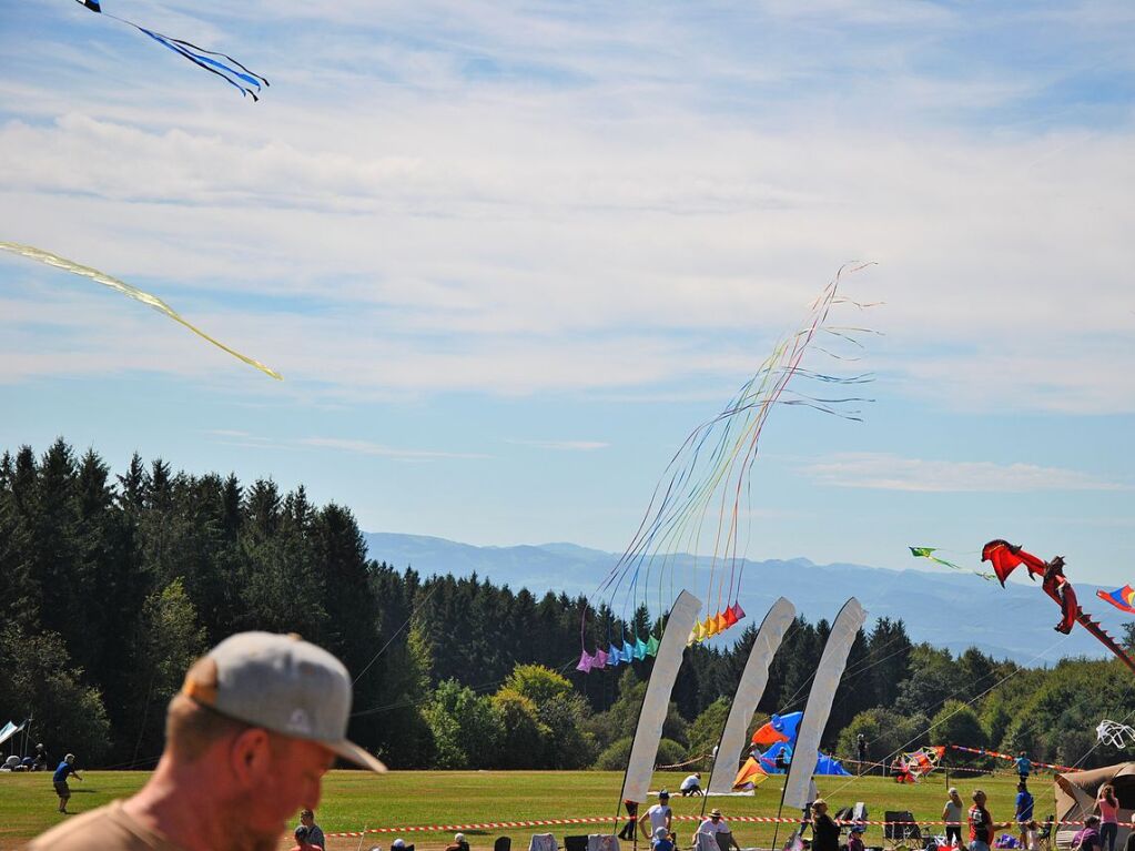 Bunte Drachen und vieles mehr gab es in Htten zu sehen.