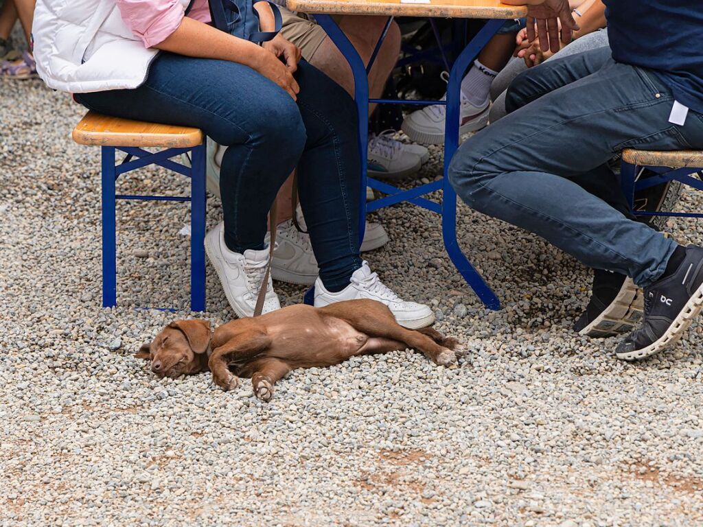 Zum 23. Mal hat Gottenheim das Hahleraifest gefeiert.