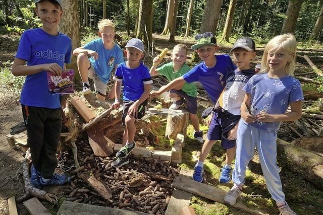 Auf Erkundungstour im Wald