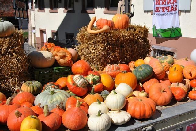 Fotos: Enkendorfmarkt bei bestem Sptsommerwetter