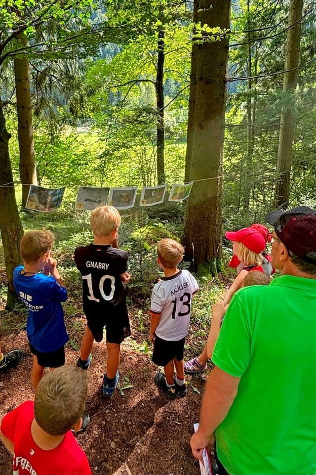 Warum ist eine Blindschleiche keine Sc...uber vom Biosphrengebiet Schwarzwald.  | Foto: Noah Dilliner