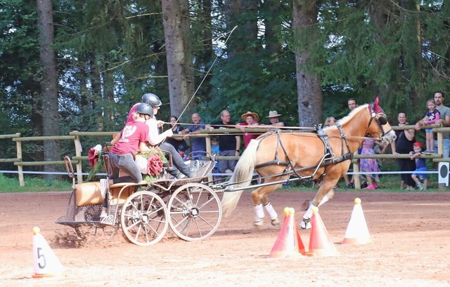 Auch rasante Kutschfahrten gab es auf ...Fahrvereins Hochschwarzwald  zu sehen.  | Foto: Dorothe Kuhlmann