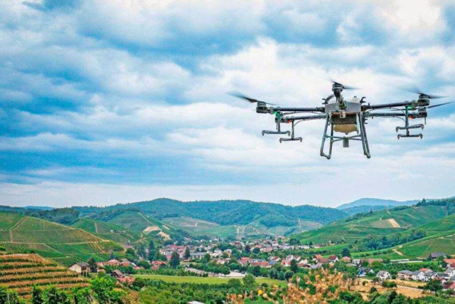 Drohnen-Einsatz trgt zur Rettung des Weinbaus in den Ortenauer Steillagen bei