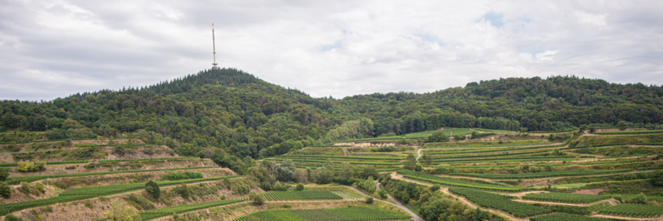 Bleibt der Kaiserstuhl weiter windkraftfrei?