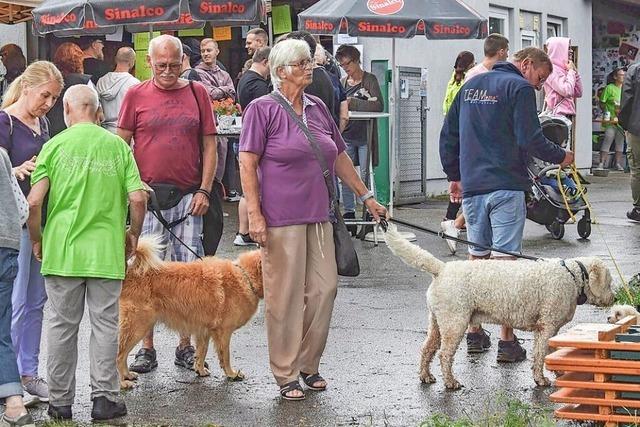 Das Lahrer Tierheim denkt ber einen Neubau nach