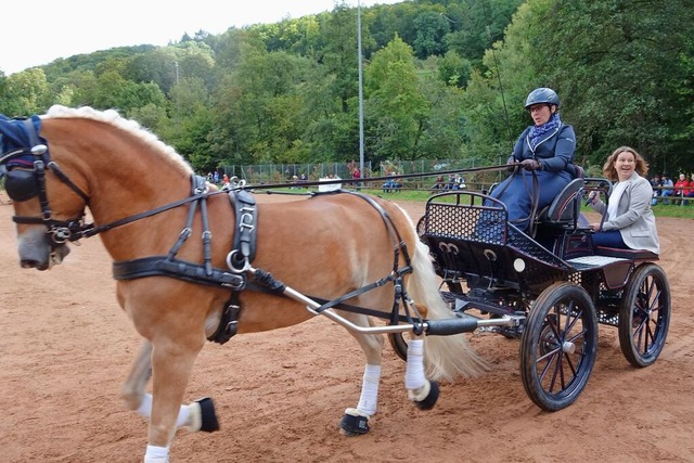 Brgermeisterin Simone Penner begrt die Zuschauer von der Kutsche aus.  | Foto: Gudrun Gehr