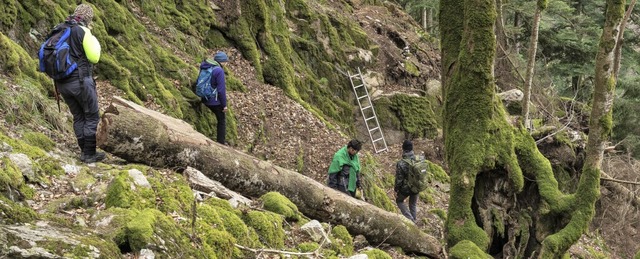 Private Suchaktion: Nach wie vor wird ... und Wehr besondere Vorsicht geboten.   | Foto: Hansi Brand