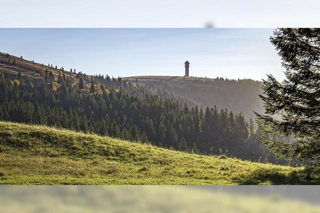 Ein Weide-Erlebnistag gibt es auf dem Feldberg mit dem Ziel Menzenschwander Htte