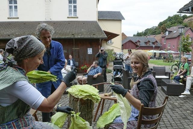 Einblicke in die Tabakernte