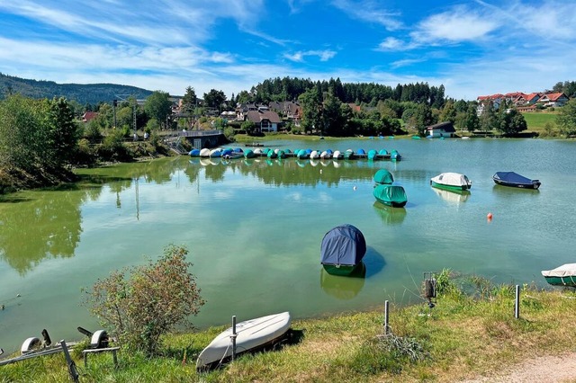 Der Schluchsee hat derzeit eine satte,...e Farbe. Auslser sind Cyanobakterien.  | Foto: Lina Boegel