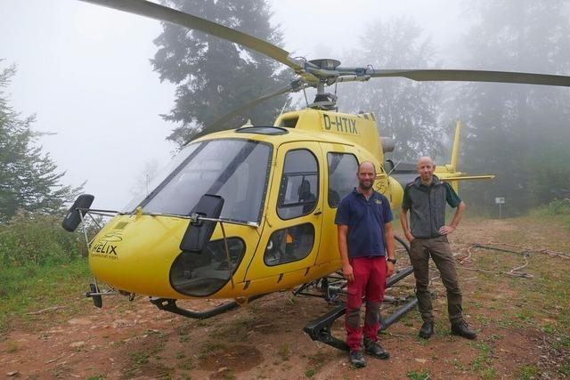 Wenn ein Helikopter Kalk im Wald ausbringt – wie derzeit bei Mnstertal – sollte man den Wald meiden