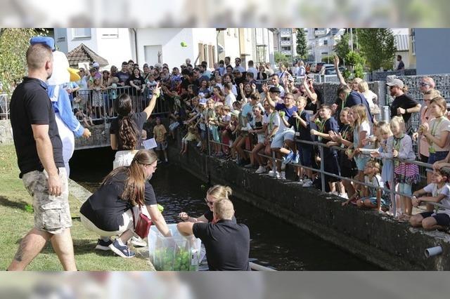 Schlossgrabenfest ist bei den Teilnehmern beliebt