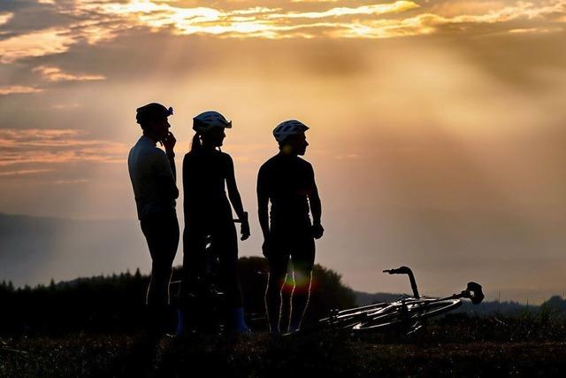 Diese unscheinbaren Bnke in Horben bieten den perfekten Blick auf Sonnenuntergnge