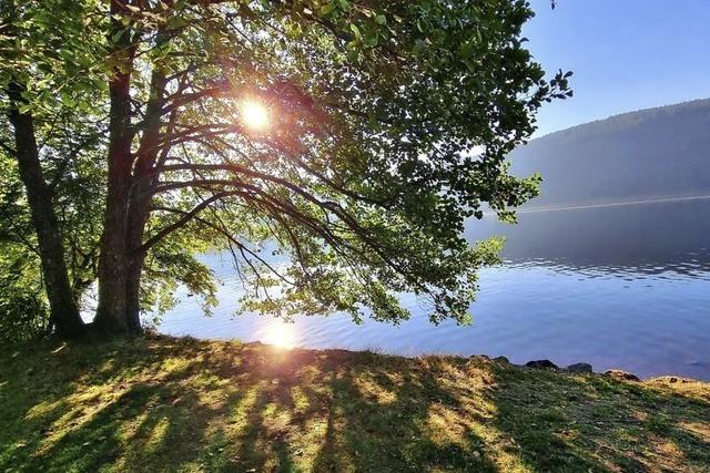 Sonnenaufgang am Titisee