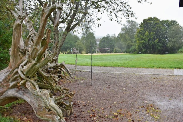 Derzeit ist der Kurpark in Hinterzarten wenig ansehnlich.  | Foto: Thomas Biniossek