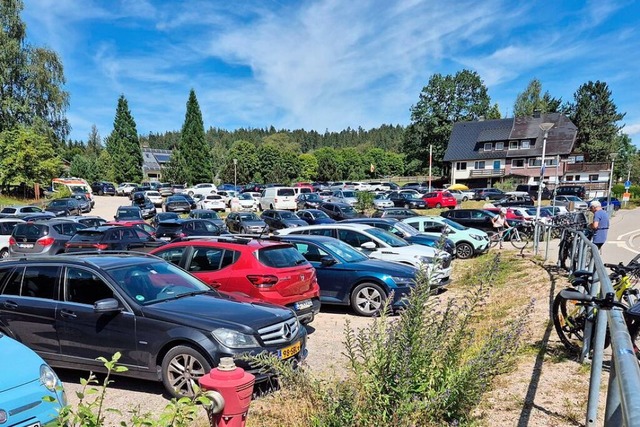 Am Strandbad Titisee gibt es derzeit mehrere Mglichkeiten zu parken.  | Foto: kamera24