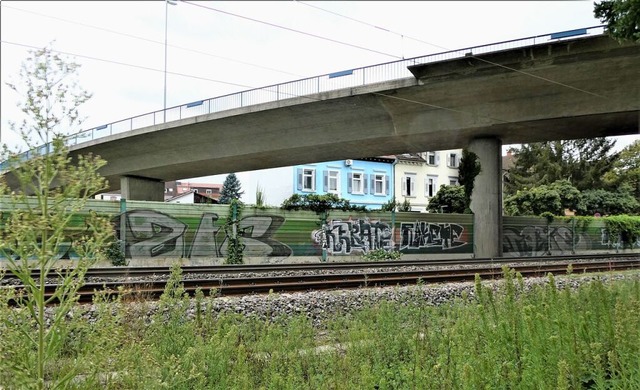 Der Rundpfeiler der Freiburger Brcke ...ei der Brckenerneuerung eckig werden.  | Foto: Silvia Jahn