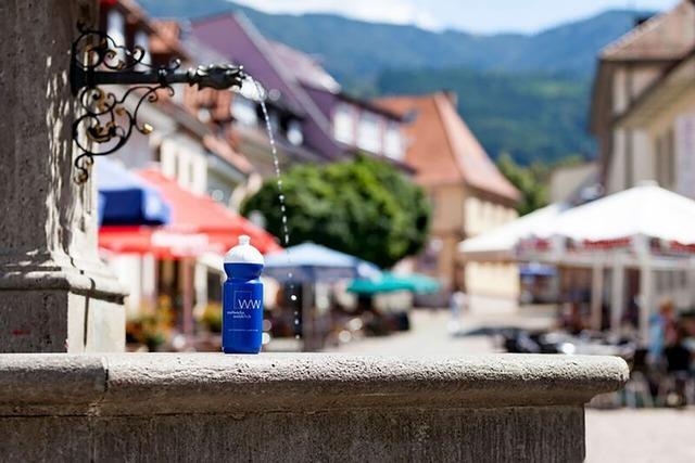 Die Stadtwerke Waldkirch feiern 25-jhriges Bestehen