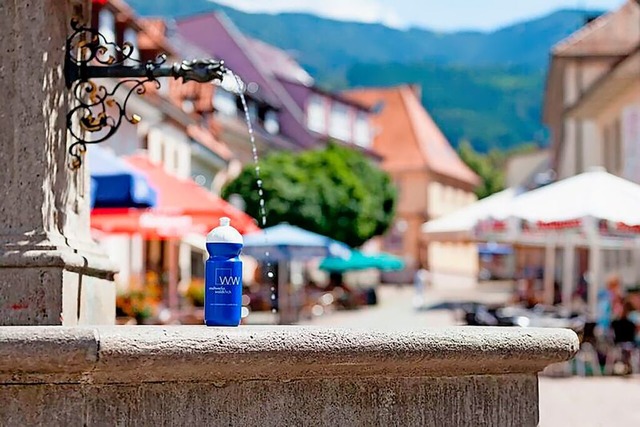 Die Versorgung mit qualitativ hochwert...len Aufgaben der Stadtwerke Waldkirch.  | Foto: Stadtwerke Waldkirch