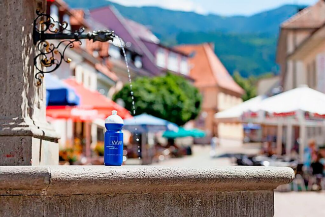 Die Stadtwerke Waldkirch feiern 25-jhriges Bestehen