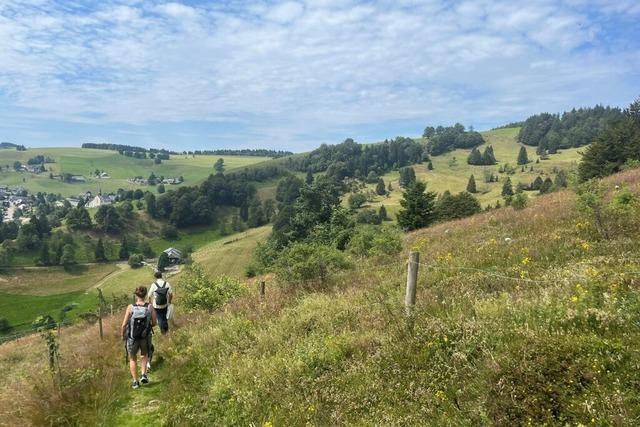 Das Biosphrengebiet Schwarzwald knnte bald grer werden