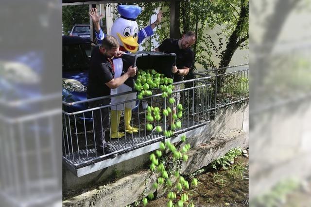 Am Wochenende verwandelt sich der Ortskern von Brombach wieder in eine Flaniermeile