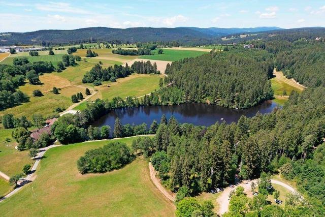 Beim Regionalplan Windkraft haben die Ersteller auch im Schwarzwald stets die 1,8 Prozent Flche im Auge