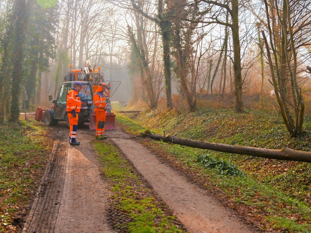 Immer viel zu tun gibt es auf den deutschen Autobahnen. Zu jeder Jahreszeit geben die Mitarbeiter der Autobahnmeisterei Freiburg-Hochdorf alles, um die A 5 zwischen Schutterwald und Neuenburg-Griheim fr den Verkehr sicherer zu machen.