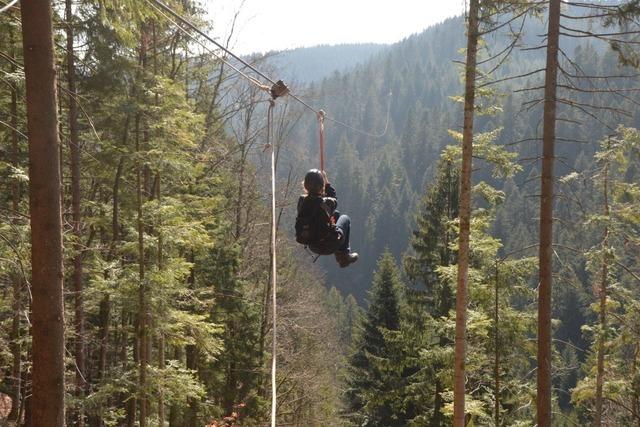 Knapp 100 Sekunden im Schwarzwald gleiten: Bekommt Todtmoos eine Zipline?