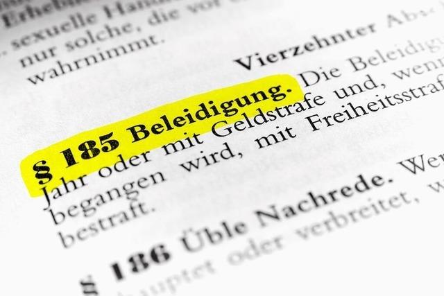 Klger vor Gericht in Bad Sckingen: 