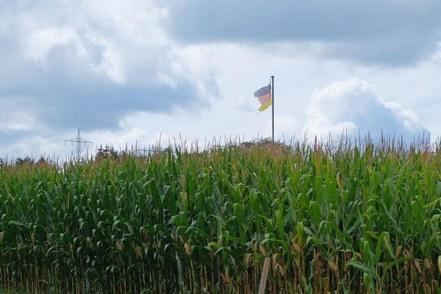 Zoff um Windkraft in Schliengen geht in die nchste Runde