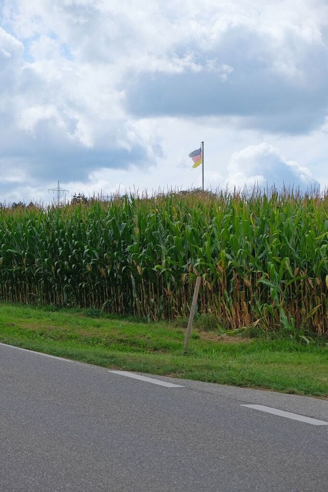 Die Fahne weht auf dem Schliengener Bu...rber gehen die Meinungen auseinander.  | Foto: Martin Pfefferle