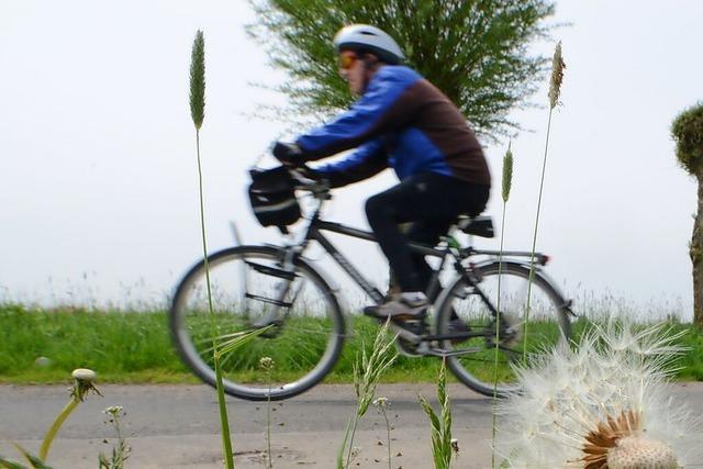 Radfahrer fhrt in Ihringen in ein Auto und verletzt sich