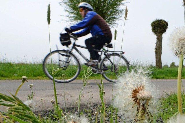 Die Wucht der Kollision war so gro, d...tenscheibe zu Bruch ging. (Symbolbild)  | Foto: Uwe Zucchi