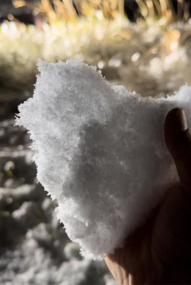 Wei und kalt: Der erste Schnee liegt auf dem Feldberg.<Bildquelle></Bildquelle>  | Foto: Conny Grbler