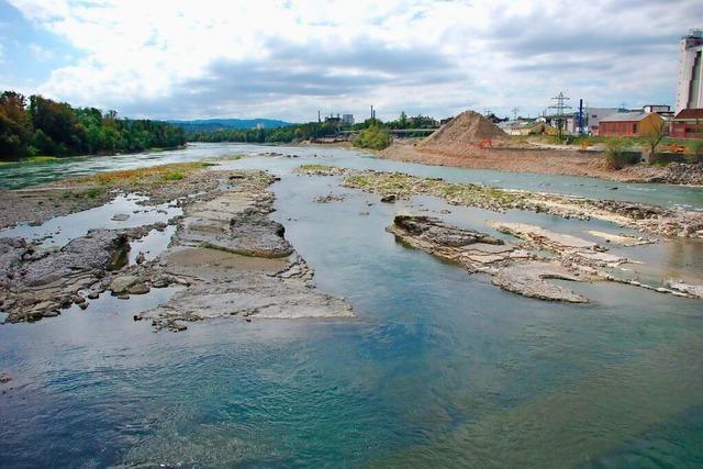 Fachleute erklren bei BZ-Hautnah Wissenswertes ber das Flusskraftwerk Rheinfelden