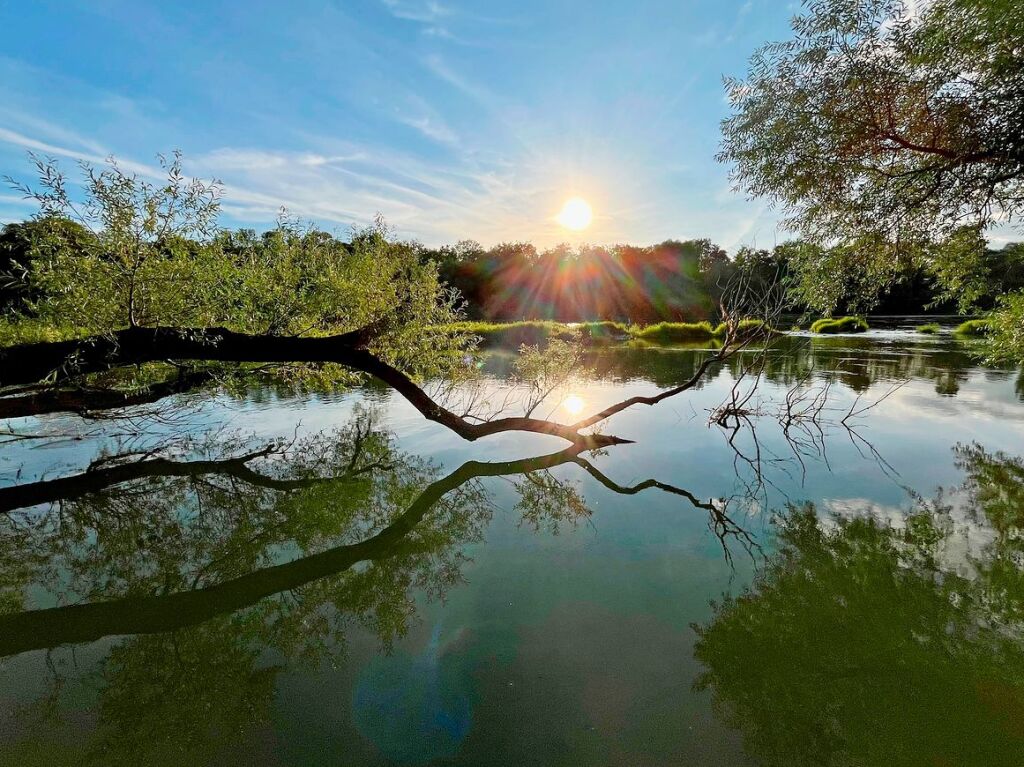 Die untergehende Sonne sorgt fr spannende Spiegelbilder auf dem Rhein.