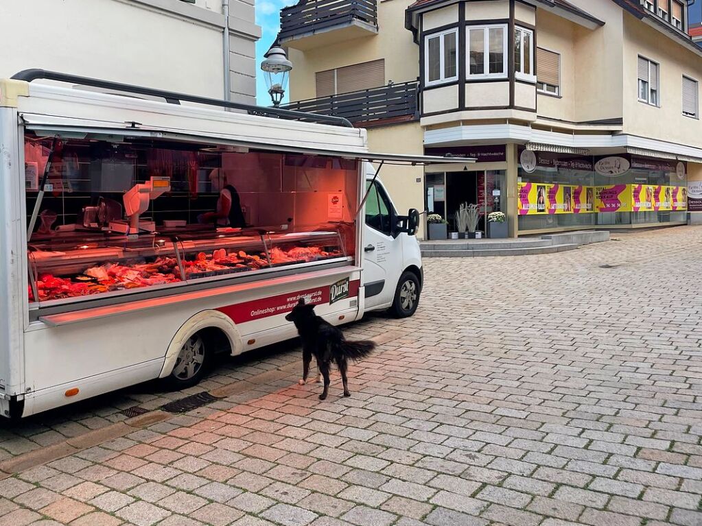 Der erste Kunde ist meist der hungrigste, schreibt BZ-Leser David Barker zu diesem Vierbeiner auf dem Mllheimer Markt.