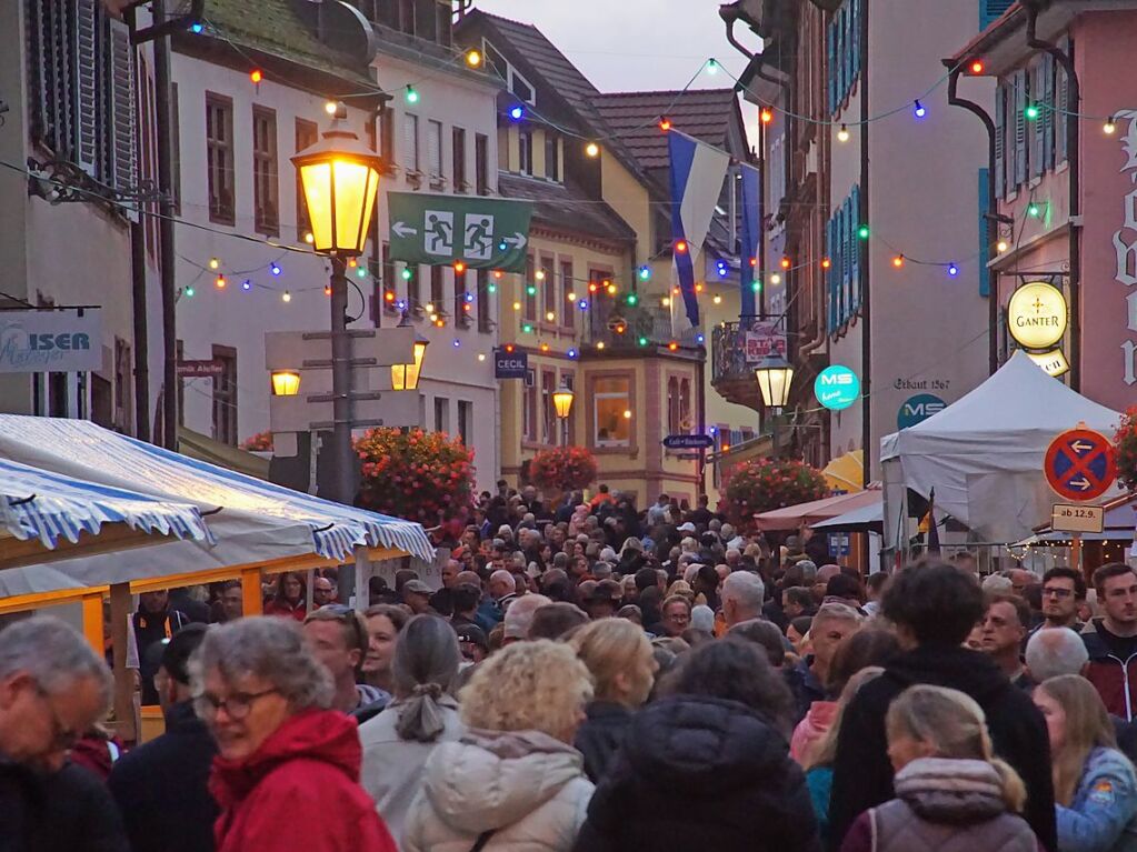 Impressionen von der Endinger Lichternacht 2024